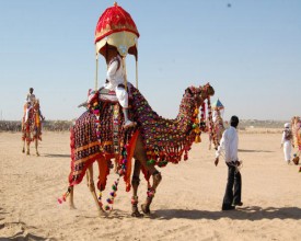 Rajasthan Tours